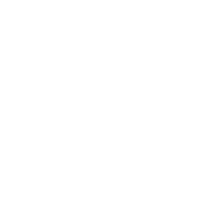 Liga Pfister